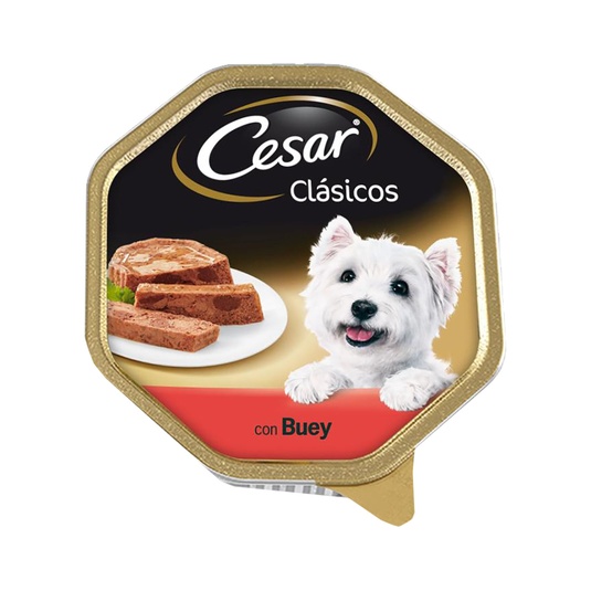 Comida húmeda para perros con buey