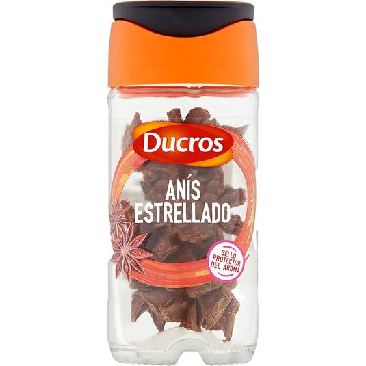 Anís estrellado en frasco de 10 g