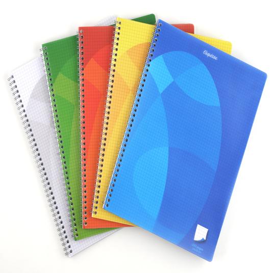 Cuaderno con espiral de 100 páginas con cuadricula