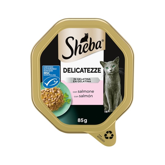 comida húmeda para gatos sabor salmón