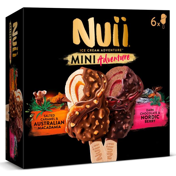 Mini helados de caramelo y chocolate con arándanos - 6 uds