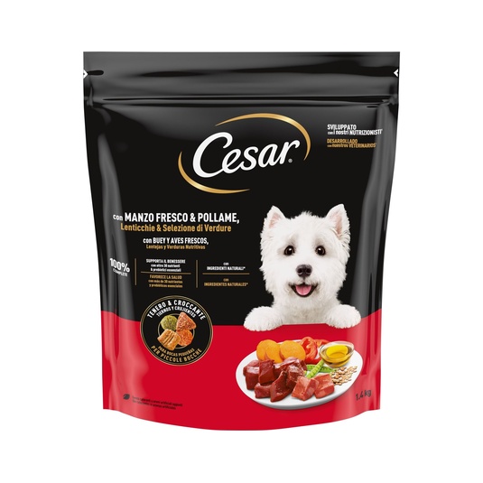 Comida Seca Perro Adulto Buey y Aves Frescas