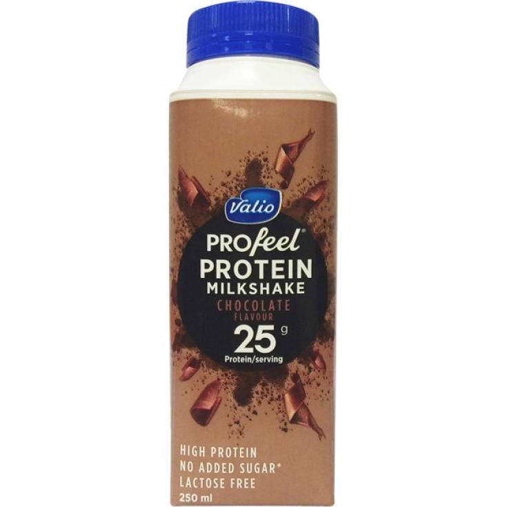 Batido de chocolate 250ml