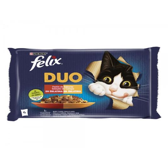 Festín de sabores en gelatina
