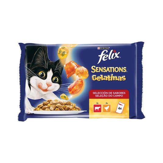  Gelatinas Festín de Sabores 4x85g