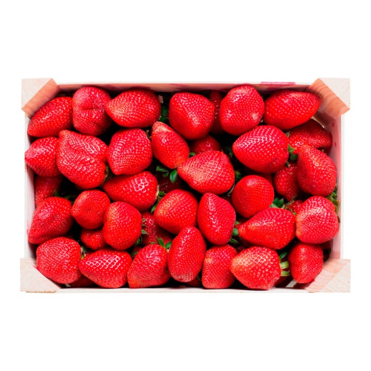 Fresas 1kg