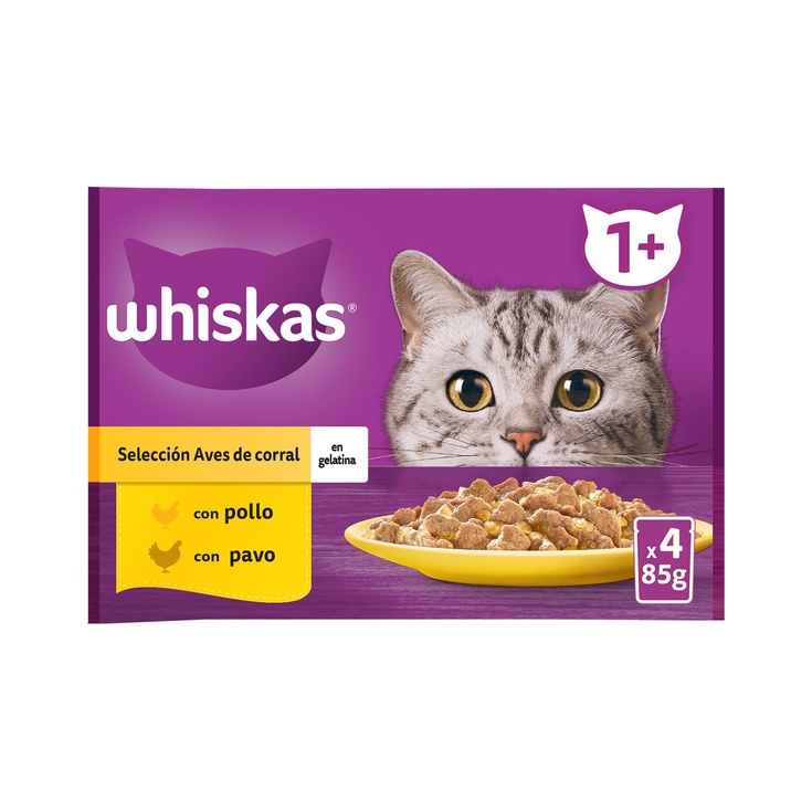 comida húmeda en gelatina para gatos cachorros con pollo 