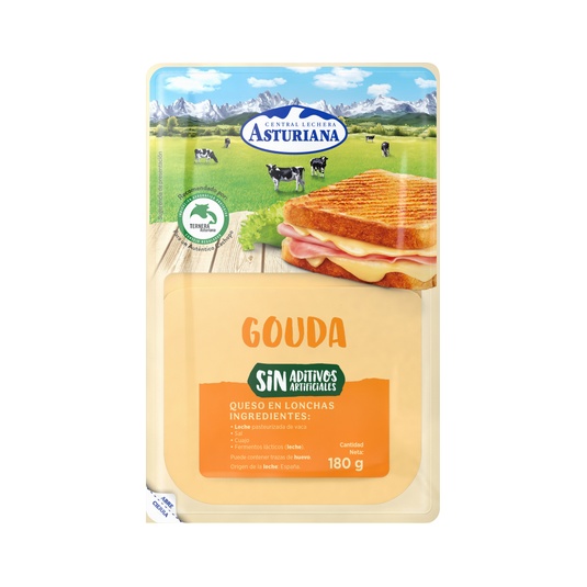 QUESO BARRA LONCHAS NATURAL GOUDA BLISTER 200 GR