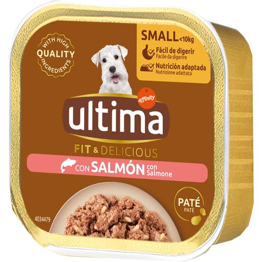Comida húmeda para perros minis adultos con salmón