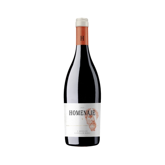 Vino tinto tempranillo cabernet DO Navarra