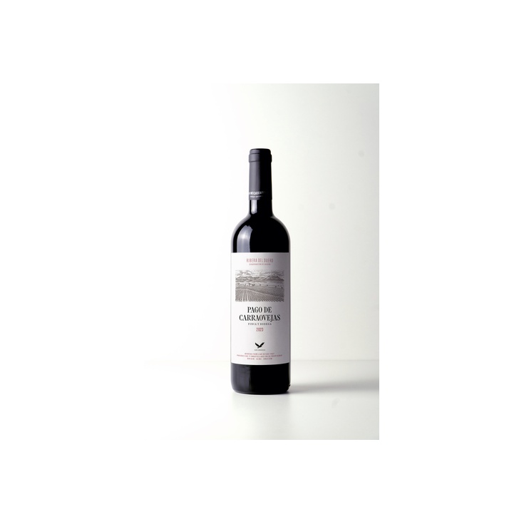vino tinto DO Ribera del Duero