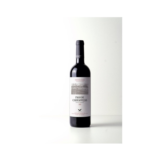 vino tinto DO Ribera del Duero