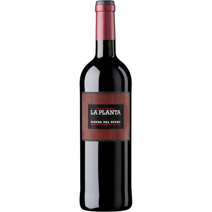 Vino tinto D.O Ribera del Duero 75cl