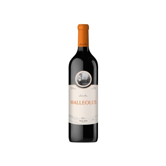 Vino tinto reserva tempranillo DO Ribera del Duero