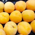 MELOCOTON AMARILLO EXTRA 1KG