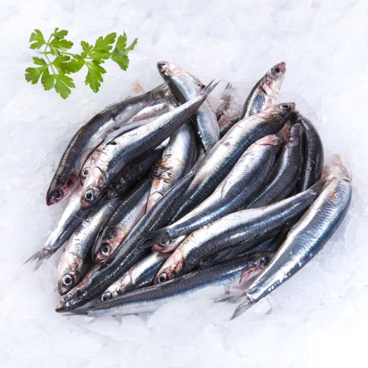 ANCHOA 500Gr