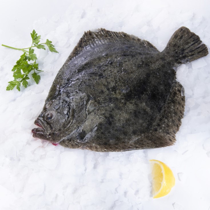 RODABALLO DE 1.2 A 1.3 KILO RODABALLO DE 1.2 A 1.3 KILO