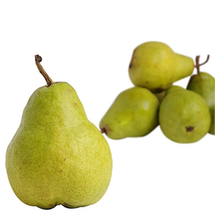 PERA LIMONERA 1KG