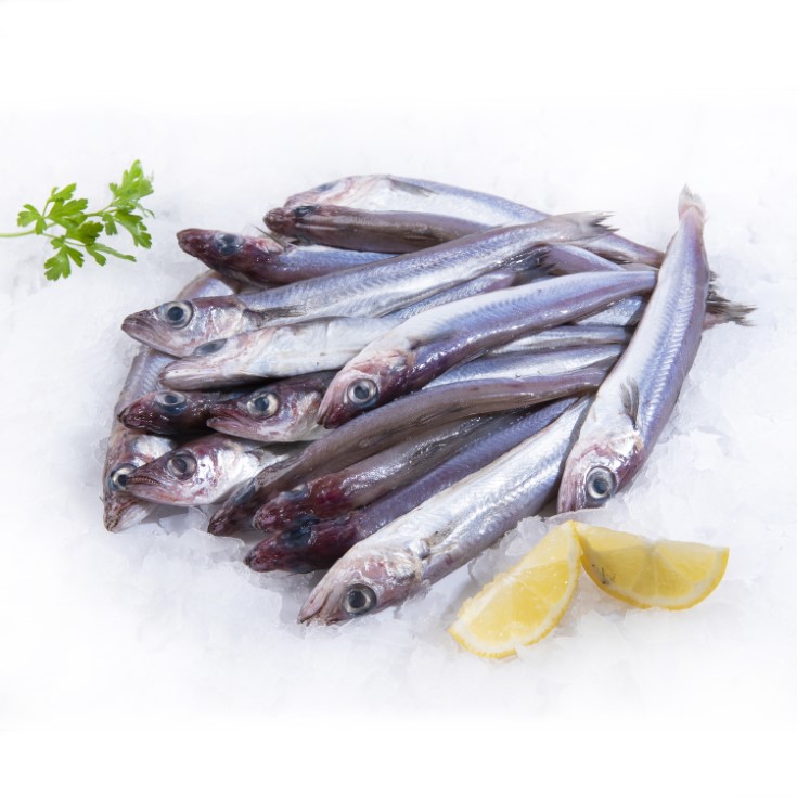 PERLITAS 1 KG