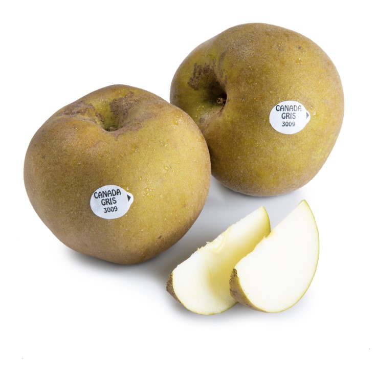 MANZANA REINETA GRIS 1KG